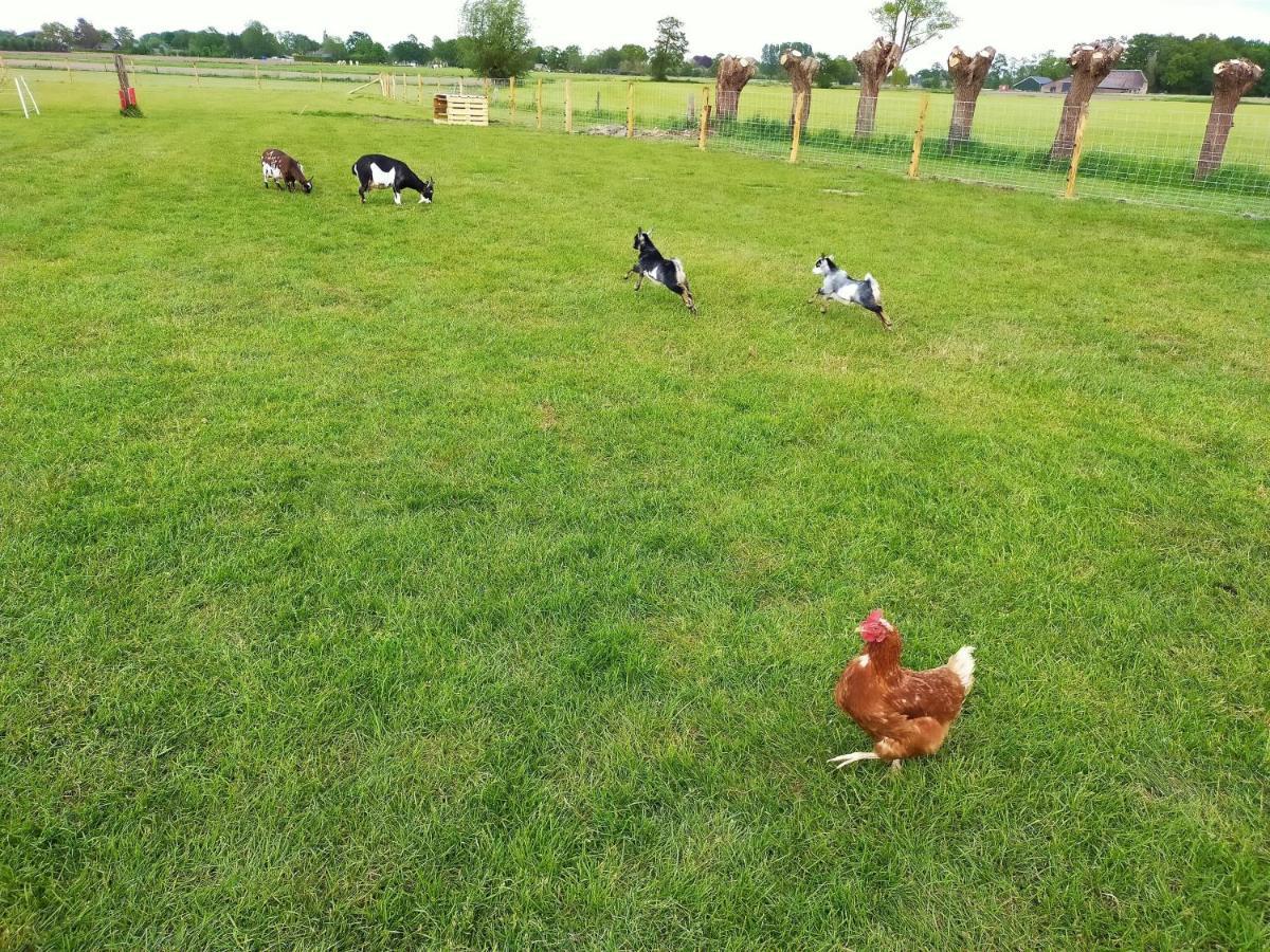 De Vrije Wei Broekland (Gelderland) Buitenkant foto
